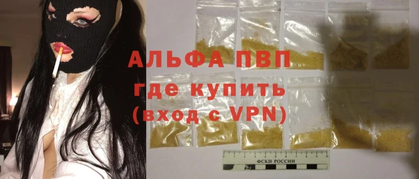 хмурый Магас
