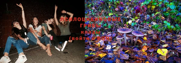 стафф Майский