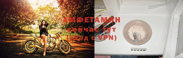 прущие крисы Балахна
