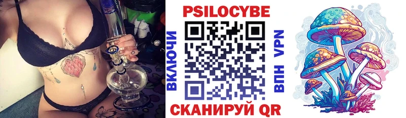 цены   Чулым  мега   Галлюциногенные грибы мицелий 